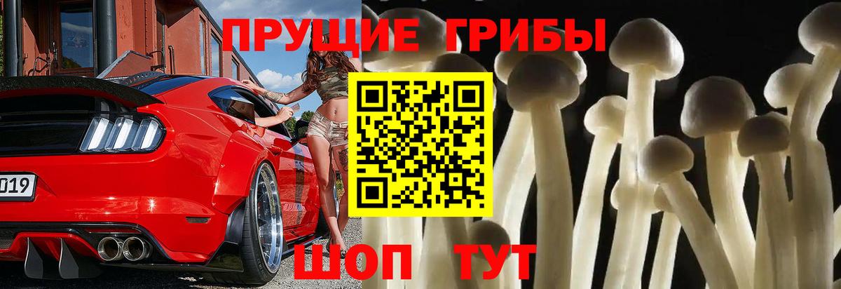 Псилоцибиновые грибы Cubensis  Псилоцибиновые грибы Magic Shrooms  Вход с VPN  продажа наркотиков  Шелехов 